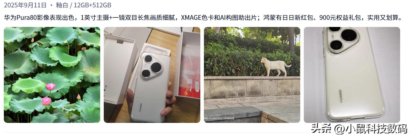 手机信号强的是哪款_OPPO Find X8s+ 信号表现 荣耀 Magic7 Pro 信号优化 华为 Pura 80 Pro 信号稳定
