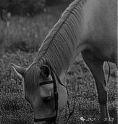 古驿道上峡口，清朝知府写了诗，还有取金匾、飞龙寺等传奇故事