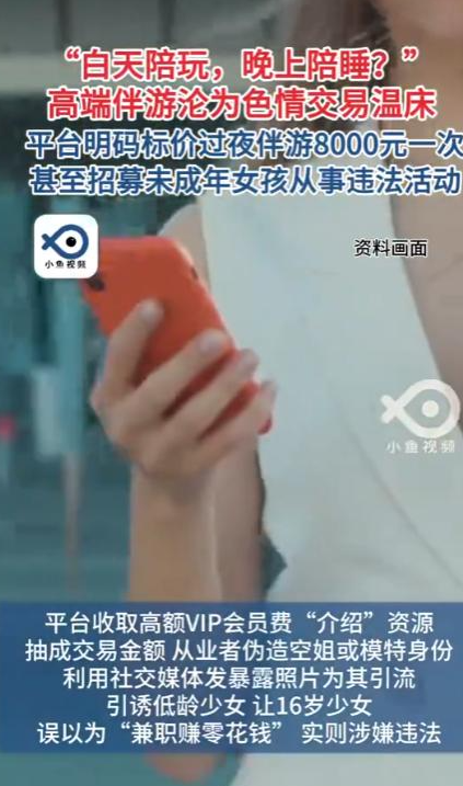 揭秘8000元过夜伴游，内幕曝光，明码标价、肮脏交易只是冰山一角