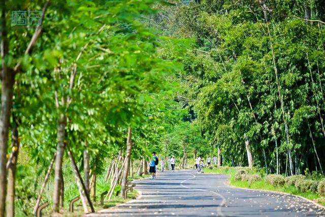 一览惠州“小洱海”湖光山色！磨房60公里徒步活动报名中→