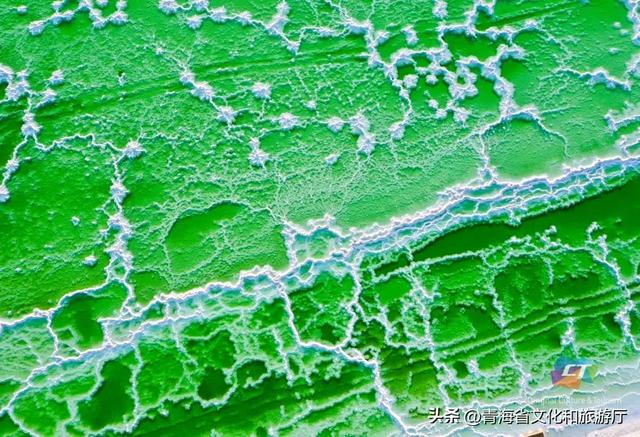 海西的秋天有多绝？从盐湖到胡杨，每一帧都是壁纸