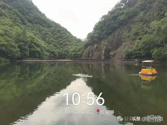 温州这个亲子游玩胜地、植物自然课堂孩子玩嗨家长不累