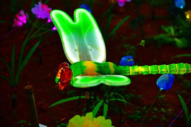 桂林:首届非遗千灯游园,光影艺术璀璨盛宴!