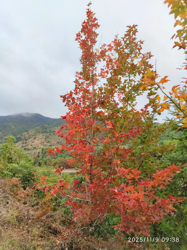 仙居县谷坦水库环线走，半山深处藏人家，依山傍水远繁华