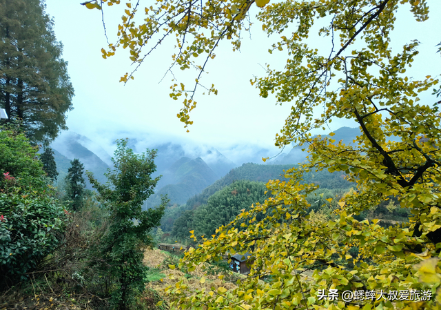 来海拔600米的杭州顶流古村吧，坐拥梯田、银杏、民宿，免费好玩