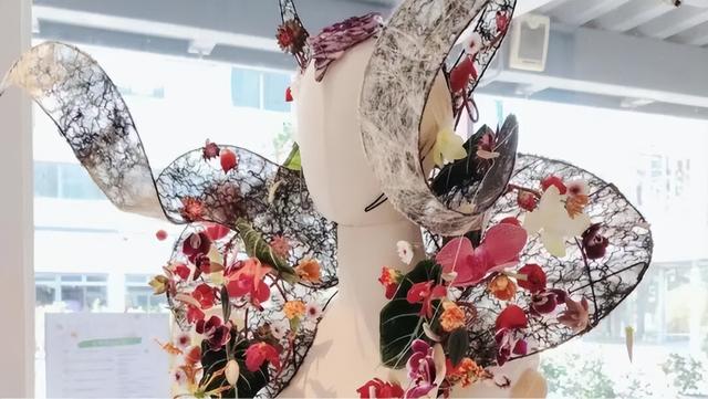 2026深圳国际月季文化年，精彩不打烊！