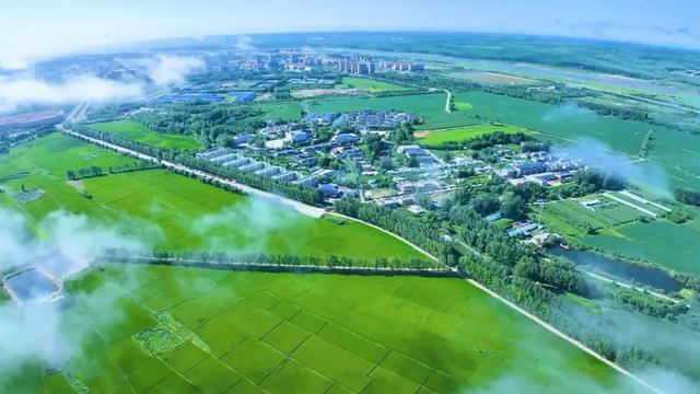 草原秋味正浓，自驾寻鲜正当时！