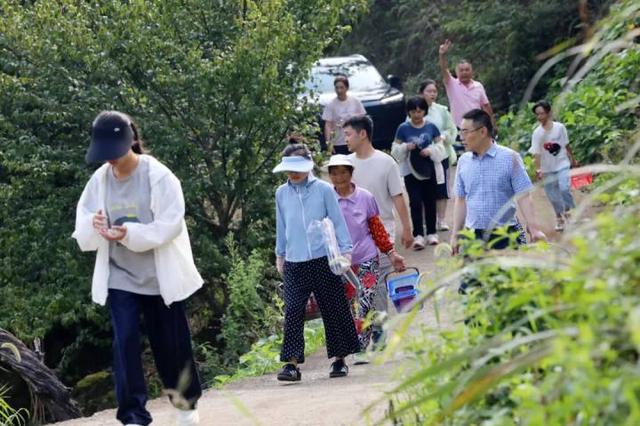 “山村收菜计划”再升级！杭城一批亲子家庭上周末驱车200公里赶到这个海拔600多米的小山村……