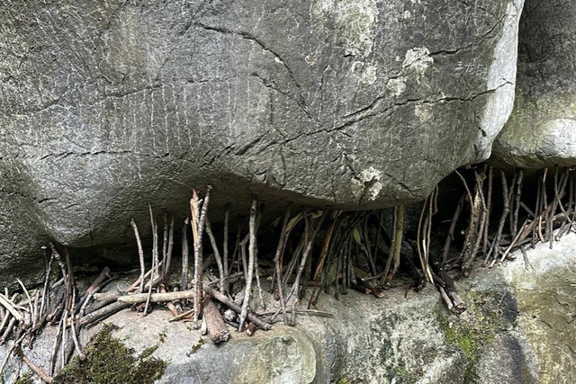 在南方的很多山区，为何总能见到大石头被小木棍撑着？有啥说法吗