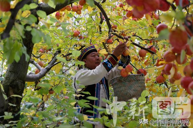 谁懂啊！茂县羌年直接把川西的浪漫狠狠拿捏了