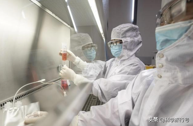 美国专家不装了：如果中国找到治愈癌症的方法，那将是我们的噩梦