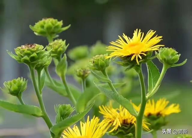 真心喜欢，真心爱，就不要怕付出