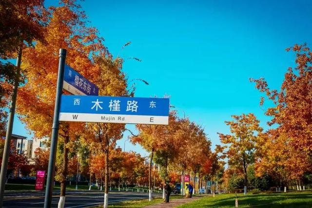 吉林赏秋榜出炉！净月登榜！这份“追秋”攻略快收好~