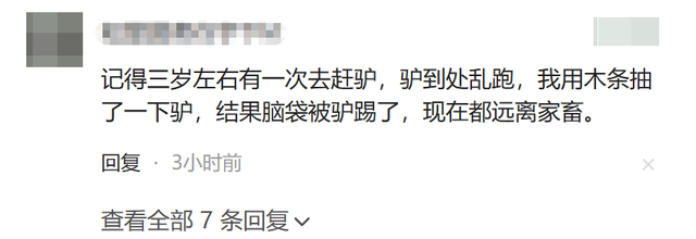 男子被马踹下体后续，没买票被骂活该，景区推卸责任，今重新开业