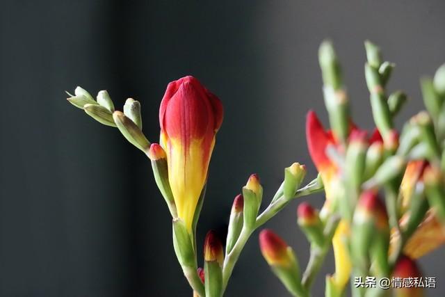 两性关系：男人要知道，女人无论多大年龄，都喜欢身边有个人陪着