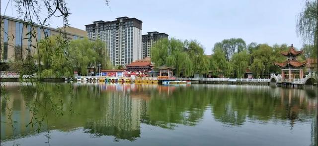 秋日临洮漫游记：20分钟邂逅公园的诗意
