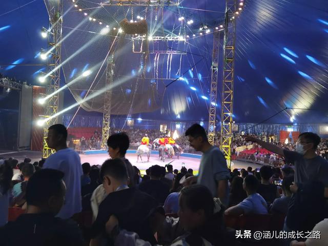 最新天津极地海洋馆一日游攻略——亲测实用!所有演出都可看完!