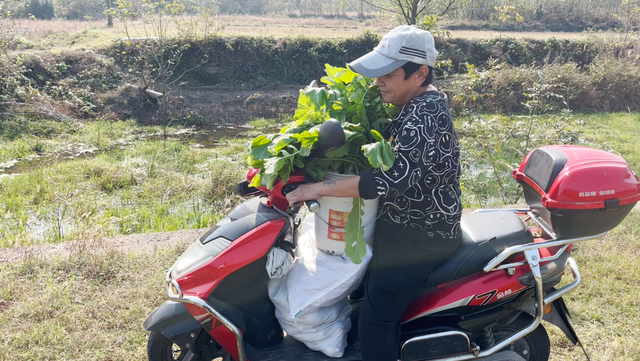 寻味武汉：一站式发掘黄陂宝藏风物，糯米灌肥肠、麦酱与脉地湾