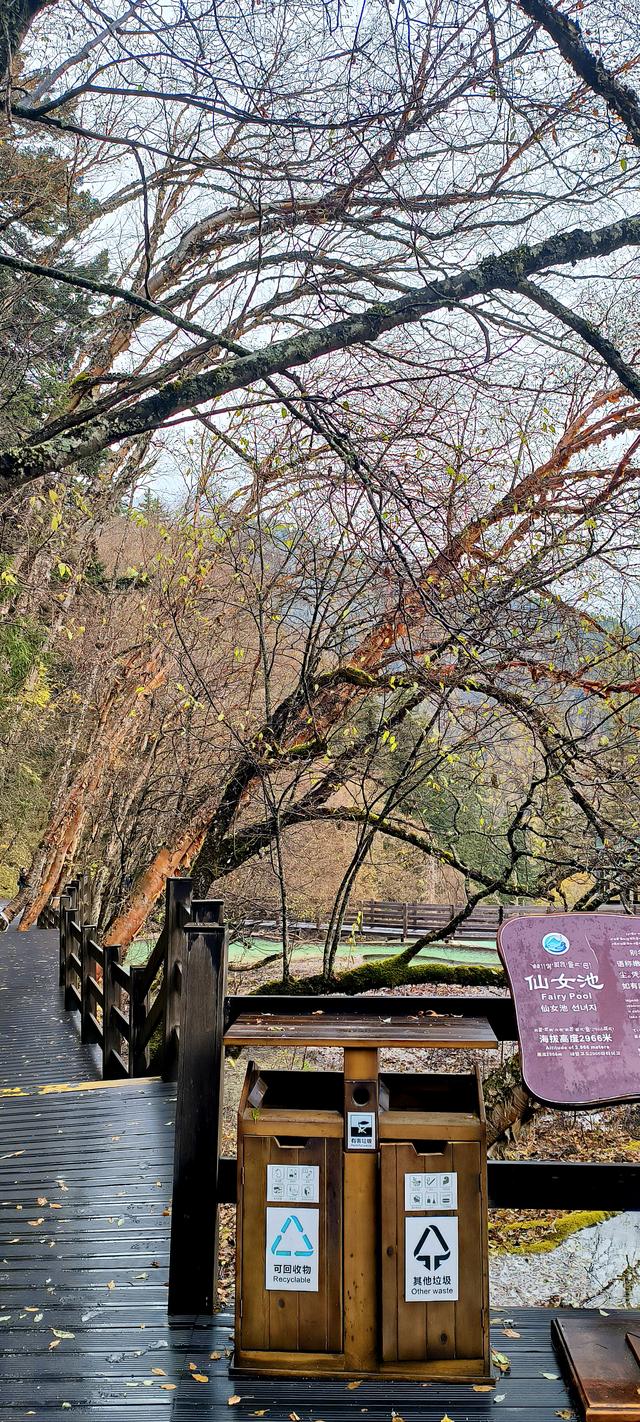 神仙池（一）竖幅