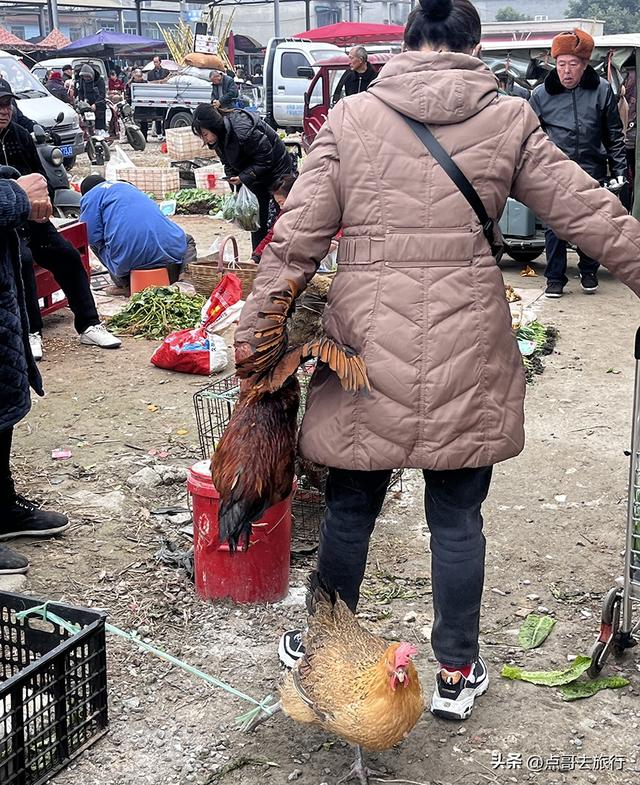 成都5个适合冬天赶场的老场镇，美食扎堆，便宜且丰富！