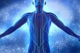 硬核科普：宣称经络不存在的伪科学家犯了哪些常识性错误？（上）图片