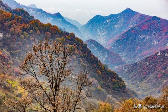 惊呆了！男子登顶华山直接先做十大碗。