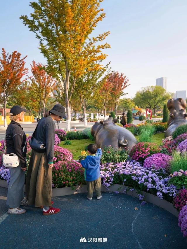 正式开幕,即将爆火一个月!