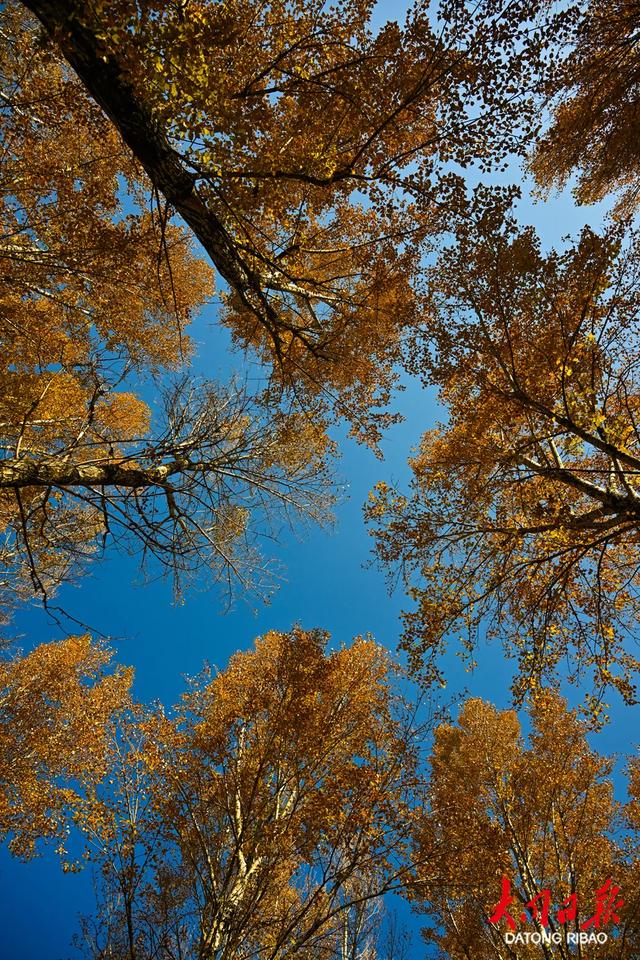 文瀛湖晚秋盛景上线！澄澈湖水与斑斓秋色撞个满怀，赏景正当时~