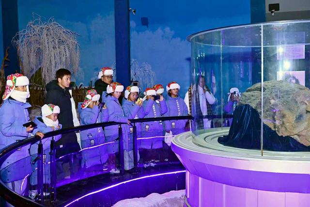 雪山雏鹰向北行 |看松江雪景 赏天外来客 “雪山雏鹰”探秘自然奇观