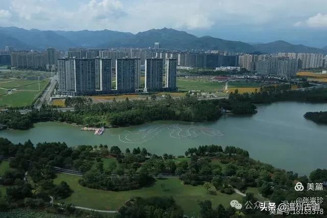从最美公园到网红观景台，温州这两个火爆朋友圈的打卡点你可去过