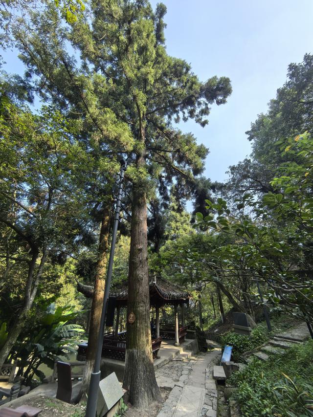 浙江湖州市德清县莫干山国家风景名胜区游记（下）