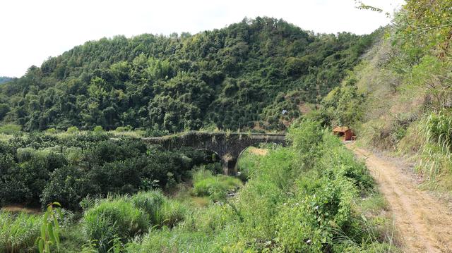 松口到蕉岭福建上杭的要道上，被荒废的清代石拱桥五星桥