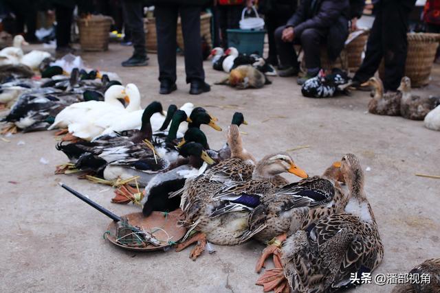 四川安岳除了摩崖造像，这里石羊镇的传统集市也是值得看看的