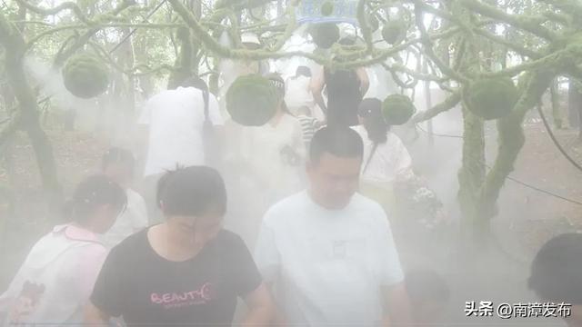 抓住暑假尾巴！千万别让孩子错过凉快有趣的动物世界