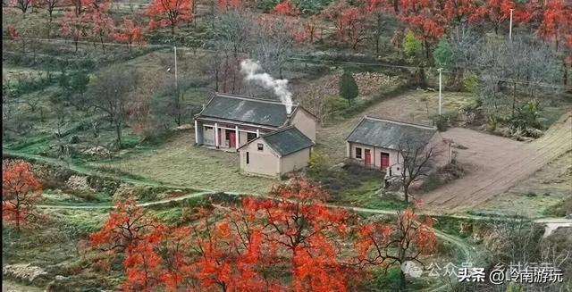 从西安出发2小时，打卡彬州罗店村柿子林，吃当地美食看台塬风景