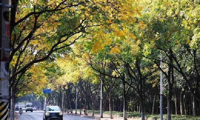 如果您欠几十万就崩溃？听完这段话您会马上清醒！