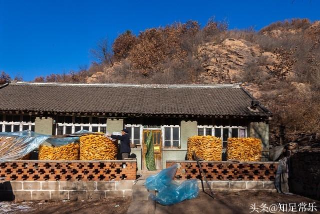 守家赚钱的法子：夫妻俩开这3个小厂，比打工强，还省心