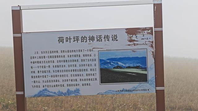 山西深度游—五寨荷叶坪