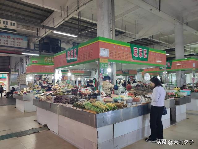 龙岩市区一日游精华线路