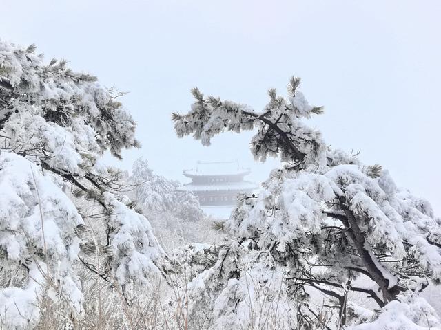 雪峰刺破苍穹 云海托举世界