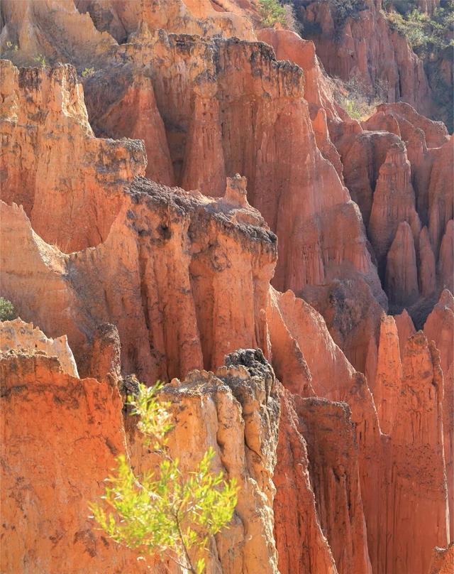 均温25℃，游客仅大理1%！云南这座小城，只有冬天才会被想起