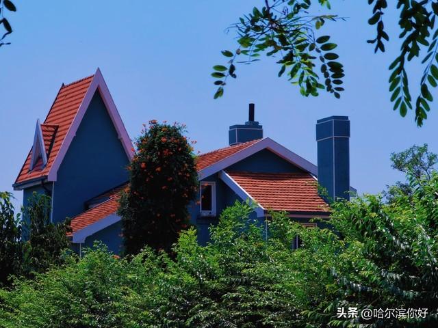 青岛：一座让人念念不忘的海滨之城