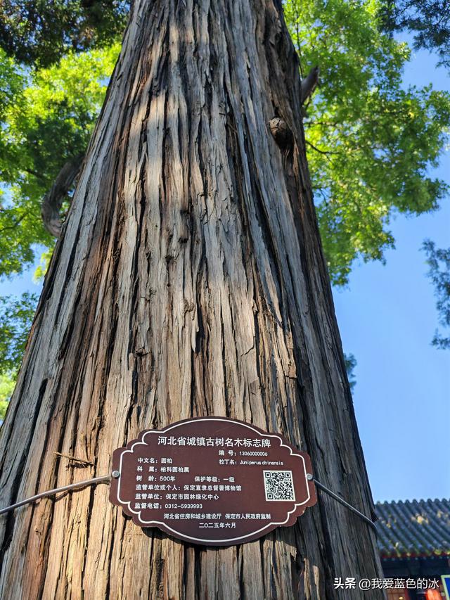 到保定旅游，其他地方可以不去，但这个景点必须要来参观