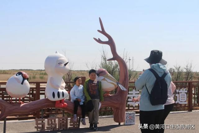 【黄河口生态旅游区】以湿地为笺，用候鸟作笔 —— 致教师的自然礼赞