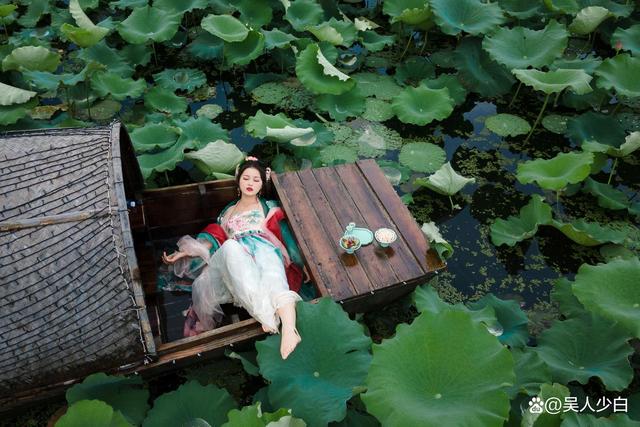 赴一场金湖塔集的夏日之约，邂逅万亩荷花海