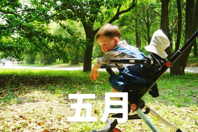 “十二个月”的雅称大全：原来十二个月还有这么浪漫的称呼！