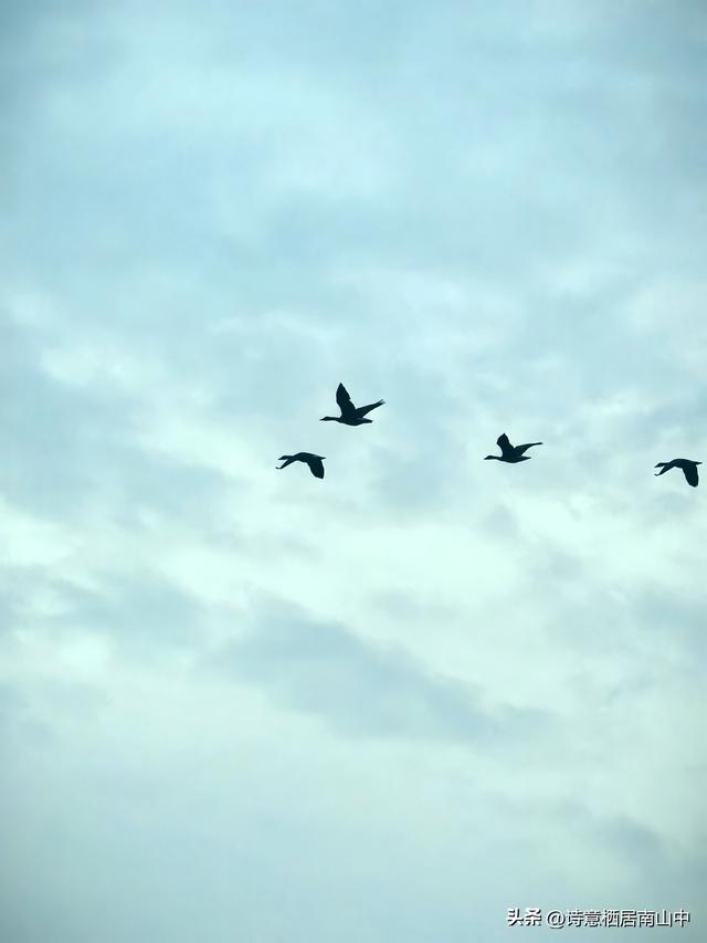 东西湖大堤绿道阻碍重重，现如何从江岸骑行到东西区大堤绿道？