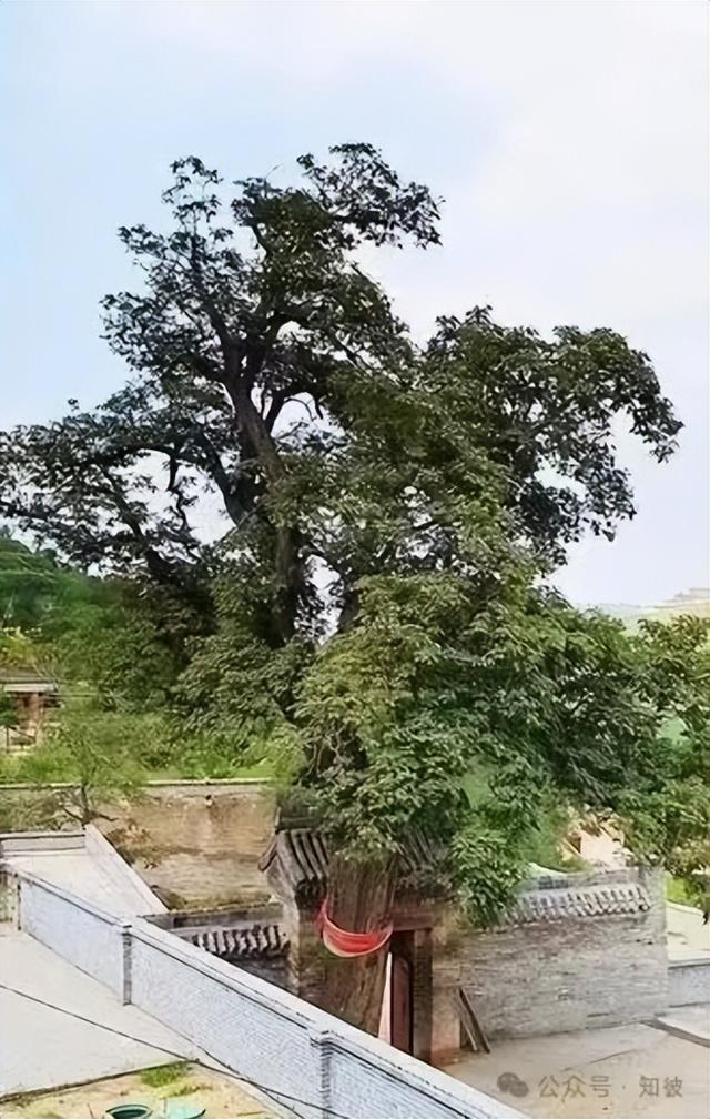介休樊王山上的那山那水那村那人 作者：任光一