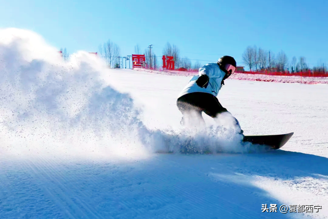 西宁的冬春，藏不住了！