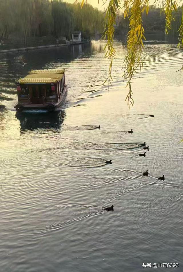 新华社原军事记者陶俊峰泉城美拍：《初冬大明湖晨曦美景》